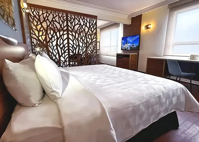 Ritz Ciudad De Hotel 4*