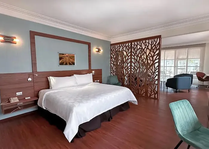 Hotel Ritz Ciudad De 4*